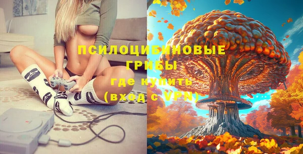 тгк Абаза