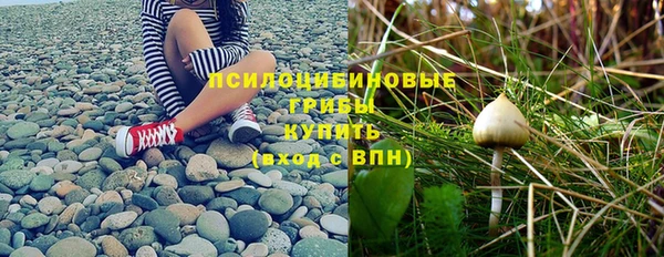 тгк Абаза