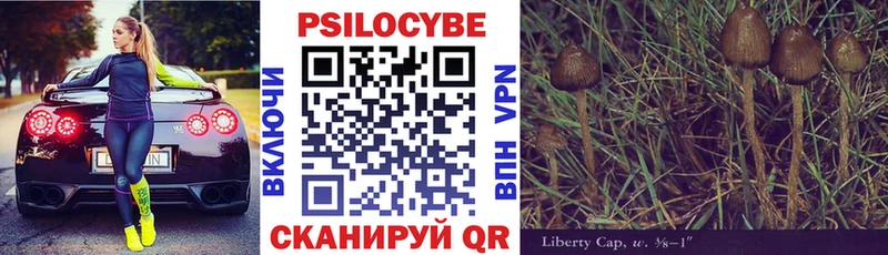Псилоцибиновые грибы мицелий Дубна